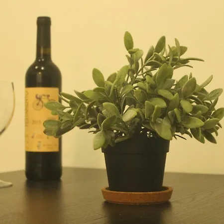 شقة Anjos - Ilha Do Principe